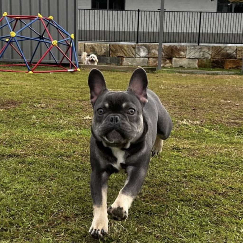 Rocky Ridge Pet Resort | 3 Jones Rd, Calga NSW 2250, Australia | Phone: 0435 764 422
