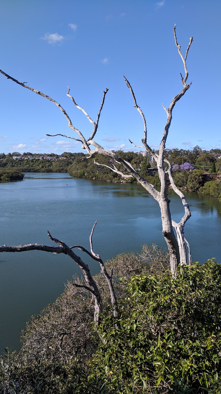 Linley Point Park | 15 The Crescent, Linley Point NSW 2066, Australia