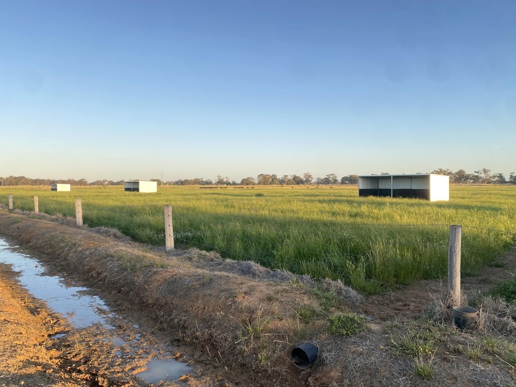 Jimmys Metal Fab | 115 Gibson Rd, Nanneella VIC 3561, Australia | Phone: 0438 575 291