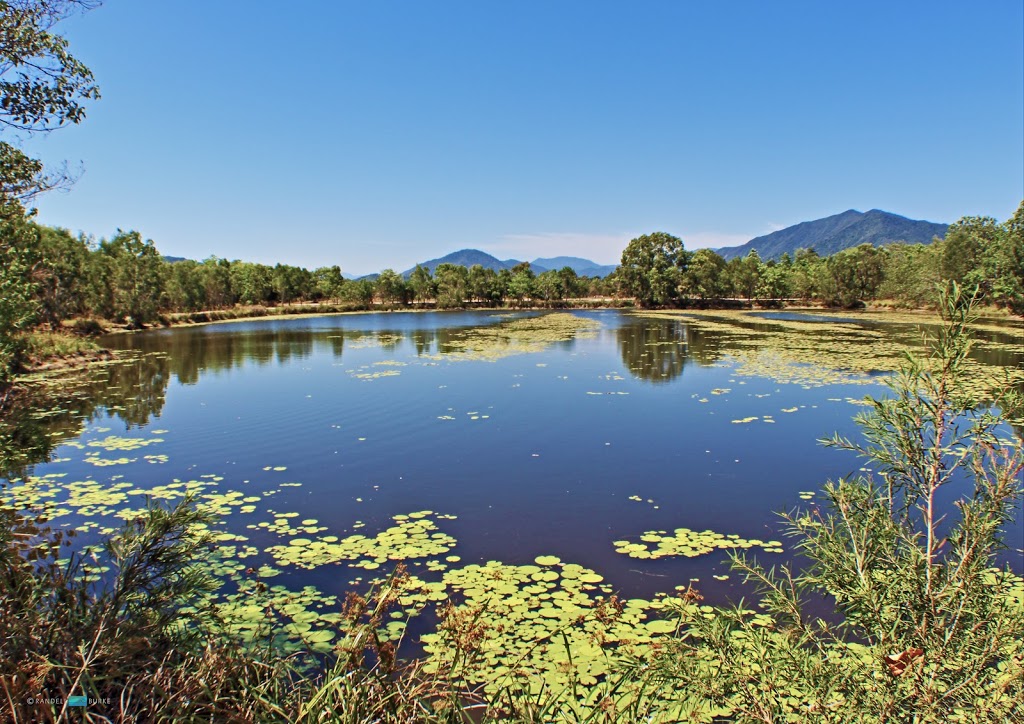 Cattana Wetlands | park | Dunne Rd, Smithfield QLD 4878, Australia | 0740443044 OR +61 7 4044 3044