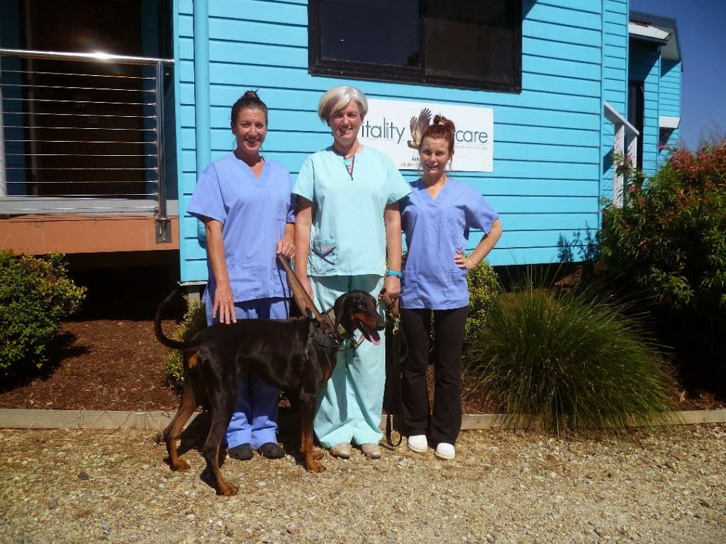 Bangalow Holistic Veterinary Care | veterinary care | 4 Ballina Rd, Bangalow NSW 2479, Australia | 0266870675 OR +61 2 6687 0675