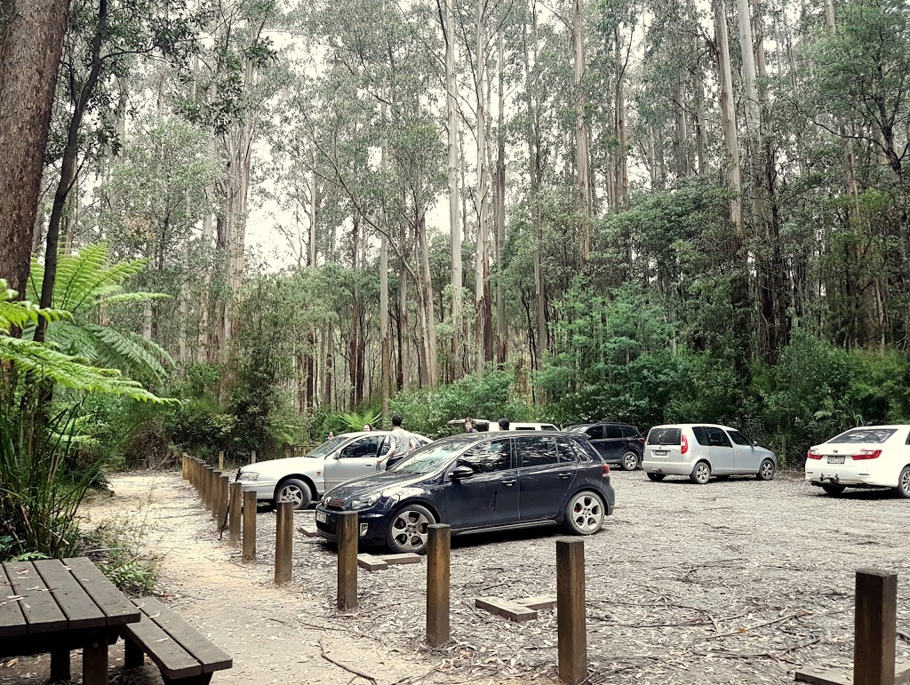 Ada Tree Carpark | Federal Rd, Ada VIC 3833, Australia