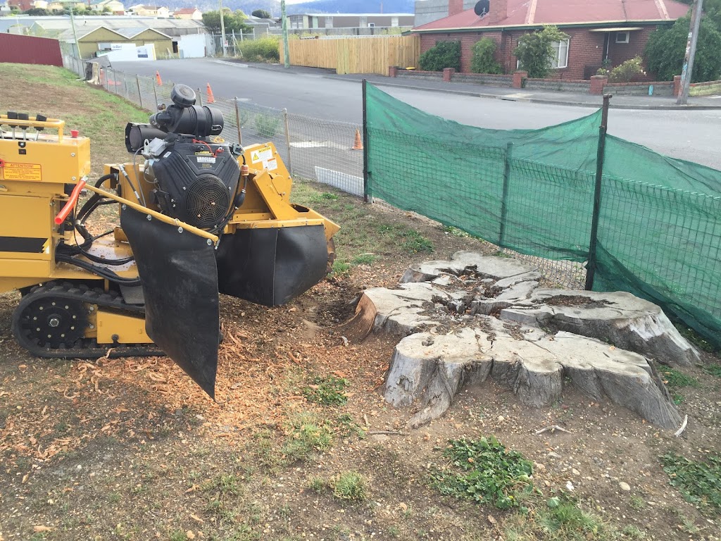 Affordable Stump Removals | general contractor | 2 High Sunderland Cres, Dromedary TAS 7030, Australia | 0427667790 OR +61 427 667 790