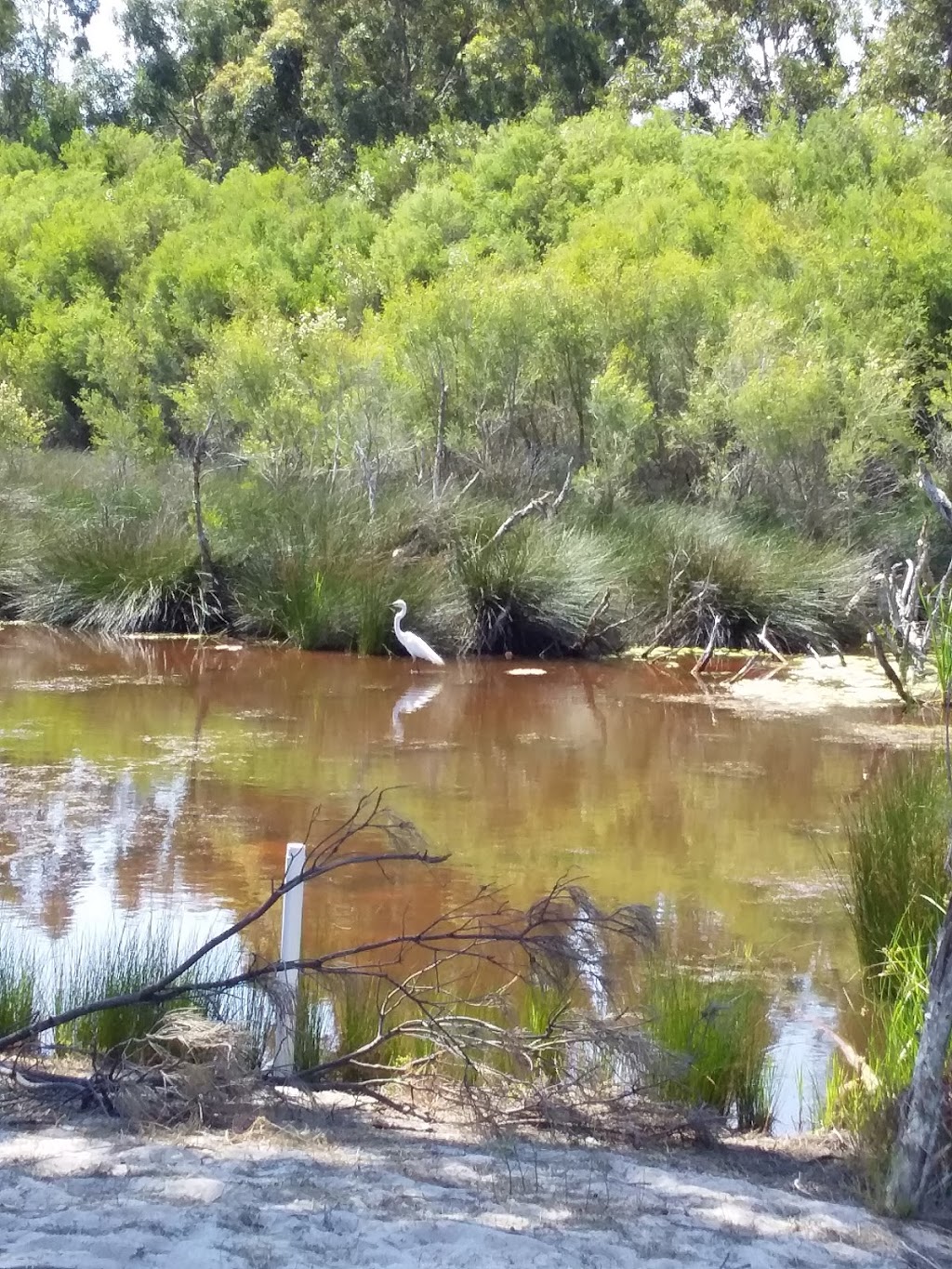 Baigup Wetlands | Bayswater WA 6053, Australia