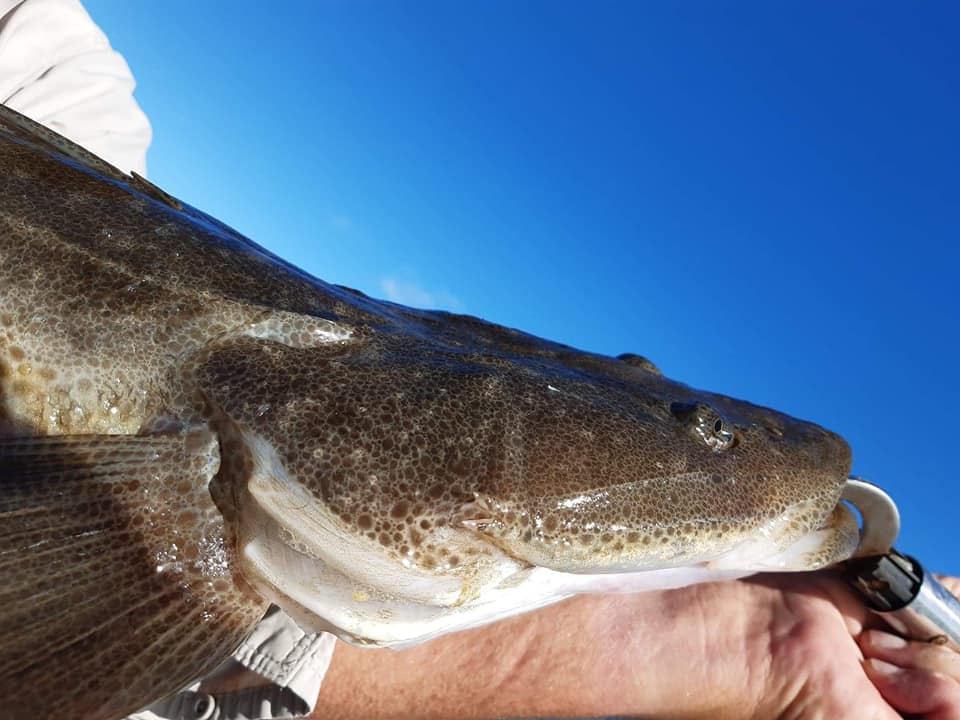 Rainbow Beach Inshore Charters |  | Carlo Rd, Rainbow Beach QLD 4581, Australia | 0408925277 OR +61 408 925 277