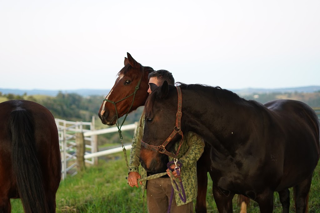 The Wagon Stop Wellness Farm | 1320 Beechmont Rd, Beechmont QLD 4211, Australia | Phone: 0468 948 447