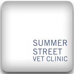 Orange Vets- Summer Street Vet Clinic | veterinary care | 53 Summer St, Orange NSW 2800, Australia | 0263604553 OR +61 2 6360 4553