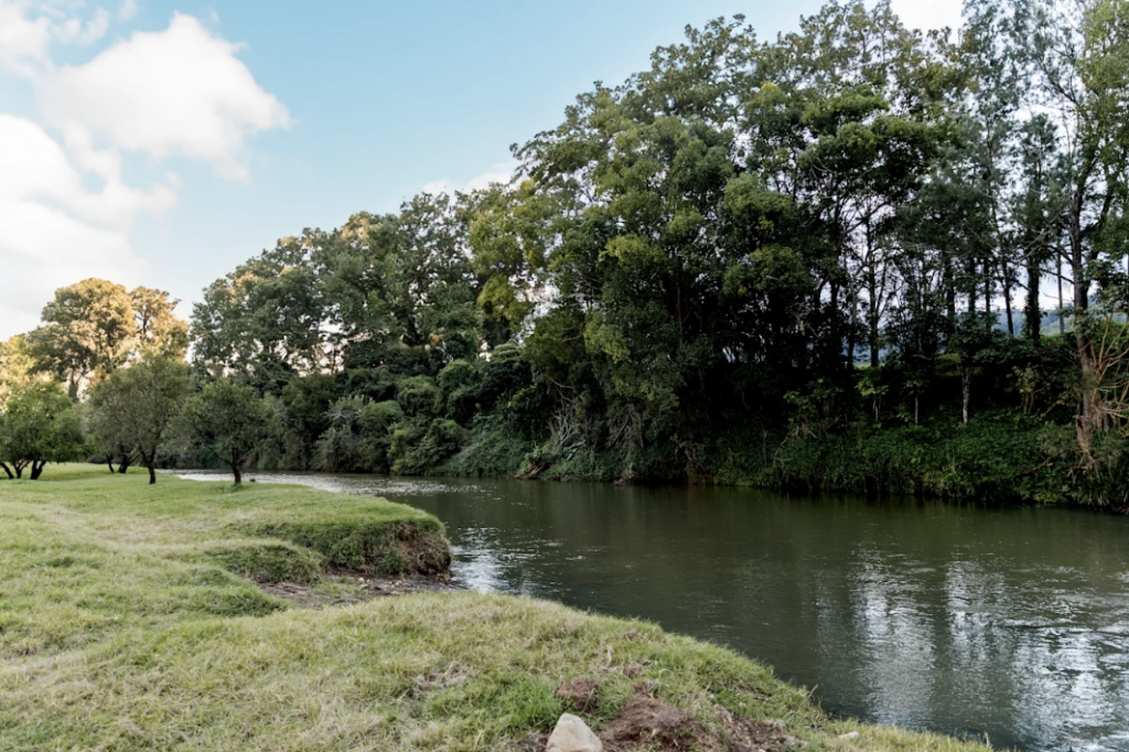McKenzies Mountain | 675 Tyalgum Rd, Eungella NSW 2484, Australia | Phone: 0414 488 606