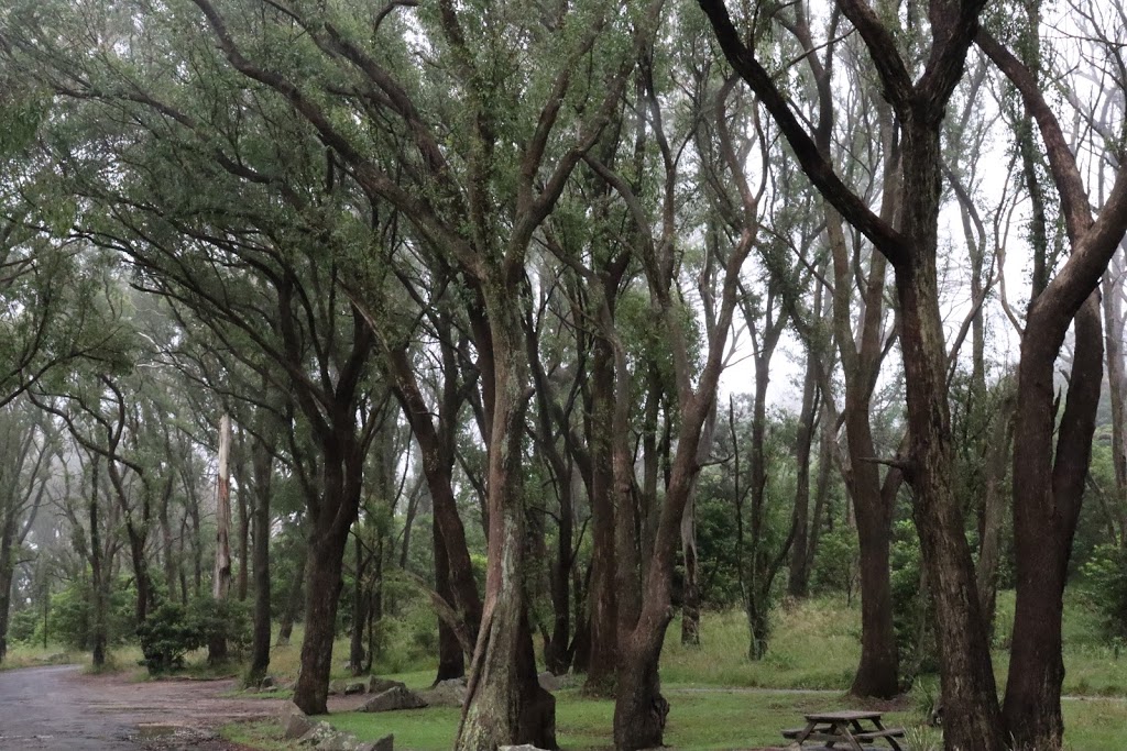 The Gib Picnic Grounds at Bowral Lookout | Oxley Dr, Bowral NSW 2576, Australia | Phone: (02) 4871 2888