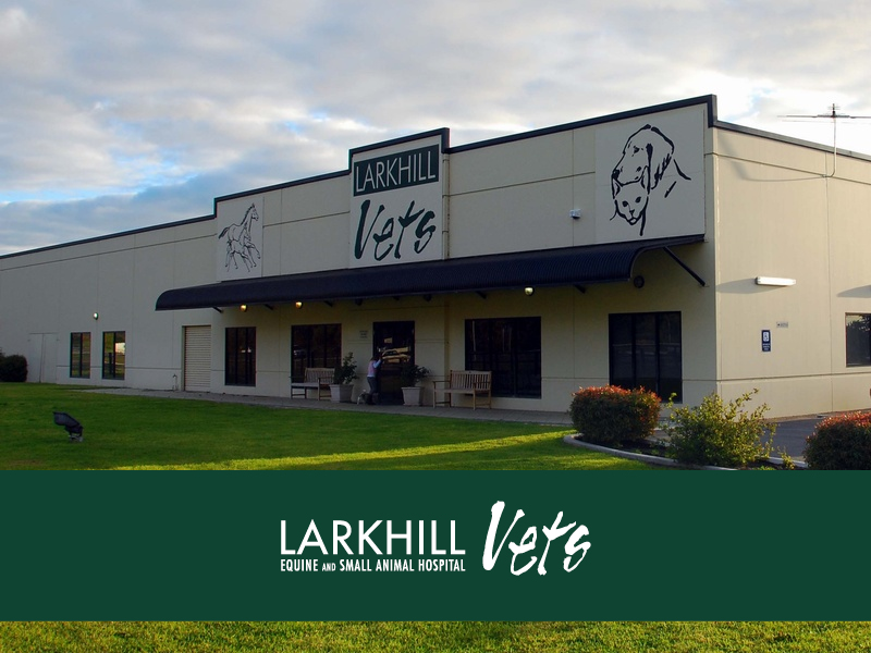 Larkhill Vets | veterinary care | 1774 Mandurah Rd, Port Kennedy WA 6172, Australia | 0895243838 OR +61 8 9524 3838
