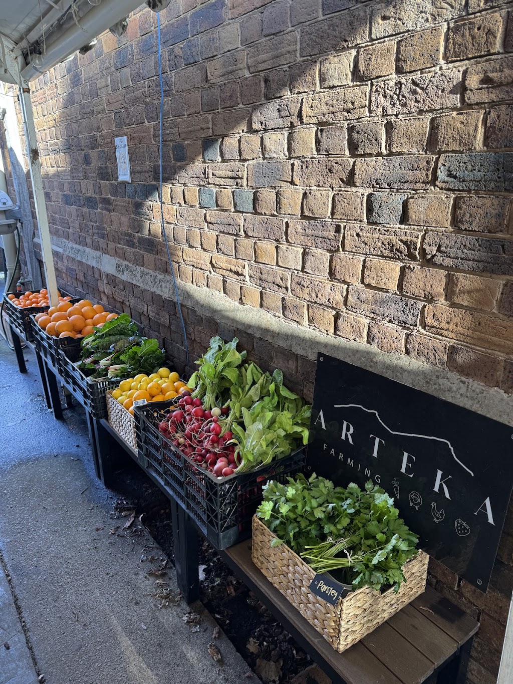 Arteka Farming | 65A Kannenbergs Rd, Hamilton VIC 3300, Australia | Phone: 0459 485 776 Arteka Farming | 65A Kannenbergs Rd, Hamilton VIC 3300, Australia | Phone: 0459 485 776