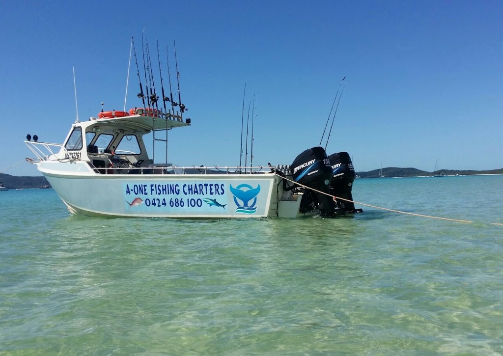 A-One Fishing Charters & Boat Tours | 7/9 Salmon St, Cannonvale QLD 4802, Australia | Phone: 0424 686 100
