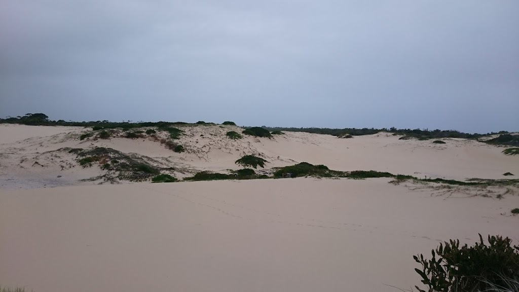 Sand Dunes Anna Bay | Anna Bay NSW 2316, Australia