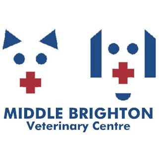 Middle Brighton Veterinary Centre | veterinary care | 762 Hampton St, Brighton VIC 3186, Australia | 0395929811 OR +61 3 9592 9811
