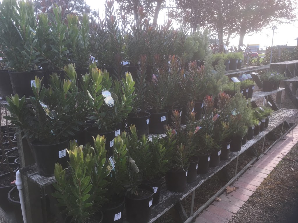 Wholesale Plants Direct | 640 Cranbourne-Frankston Rd, Cranbourne South VIC 3977, Australia | Phone: 0426 966 057