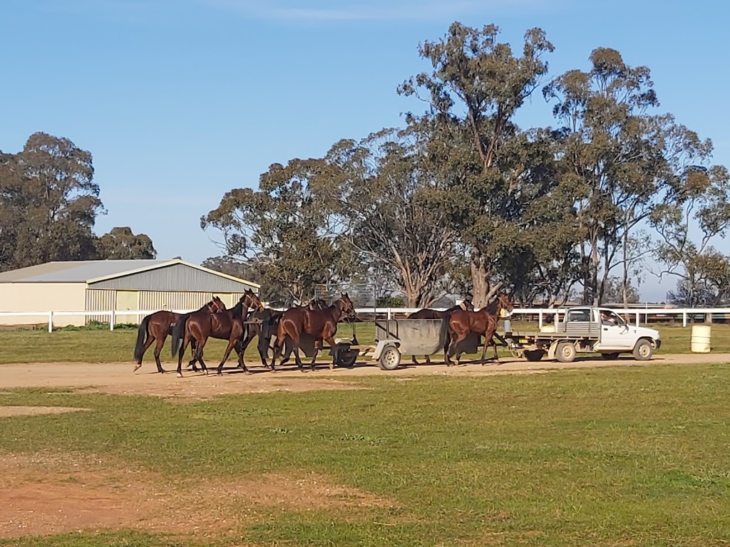 Temora Showground | campground | Mimosa St, Temora NSW 2666, Australia | 0269771801 OR +61 2 6977 1801