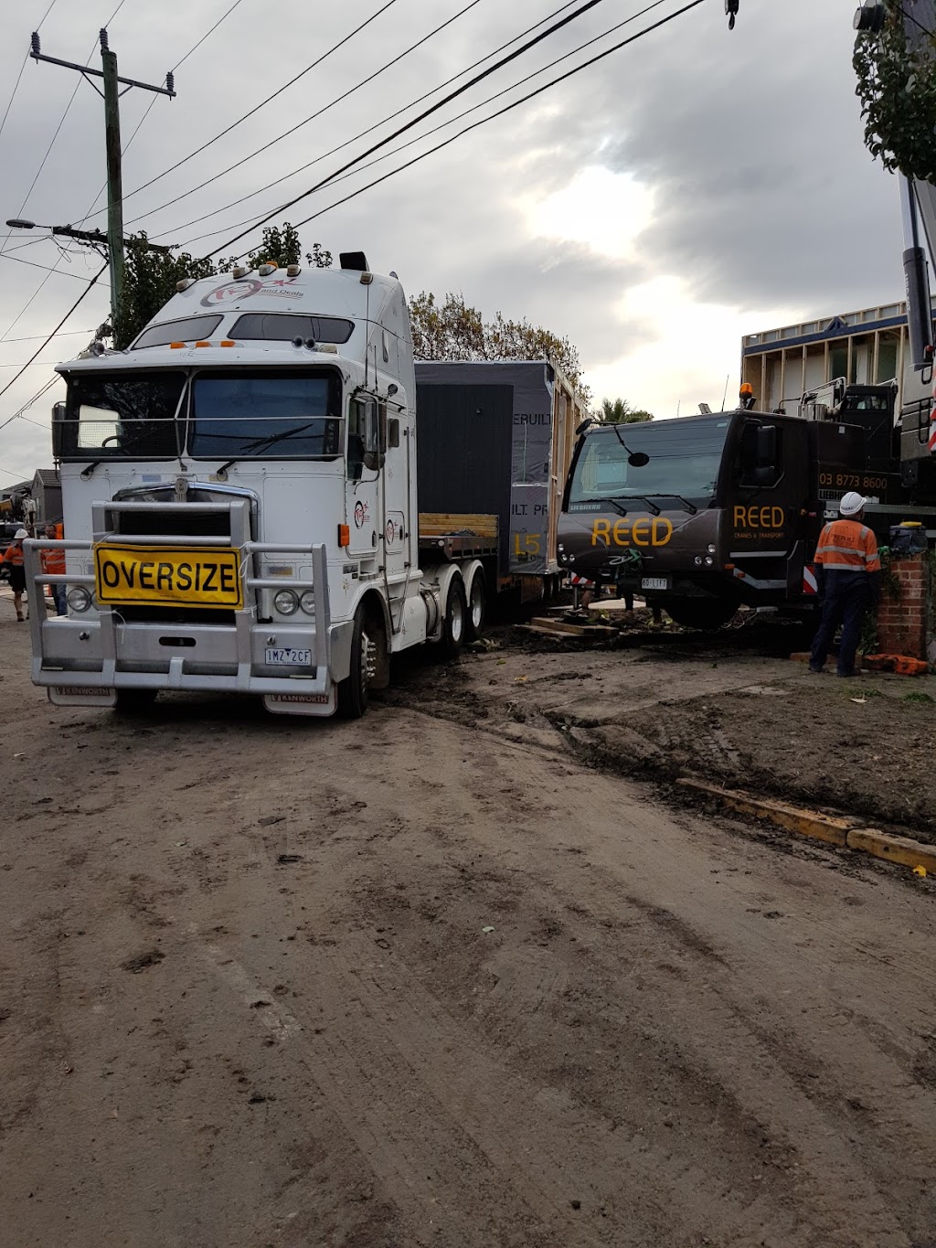 Reed Cranes & Transport. Inc Tarrant Group | storage | 23 Keppler Cct, Seaford VIC 3198, Australia | 0387738600 OR +61 3 8773 8600