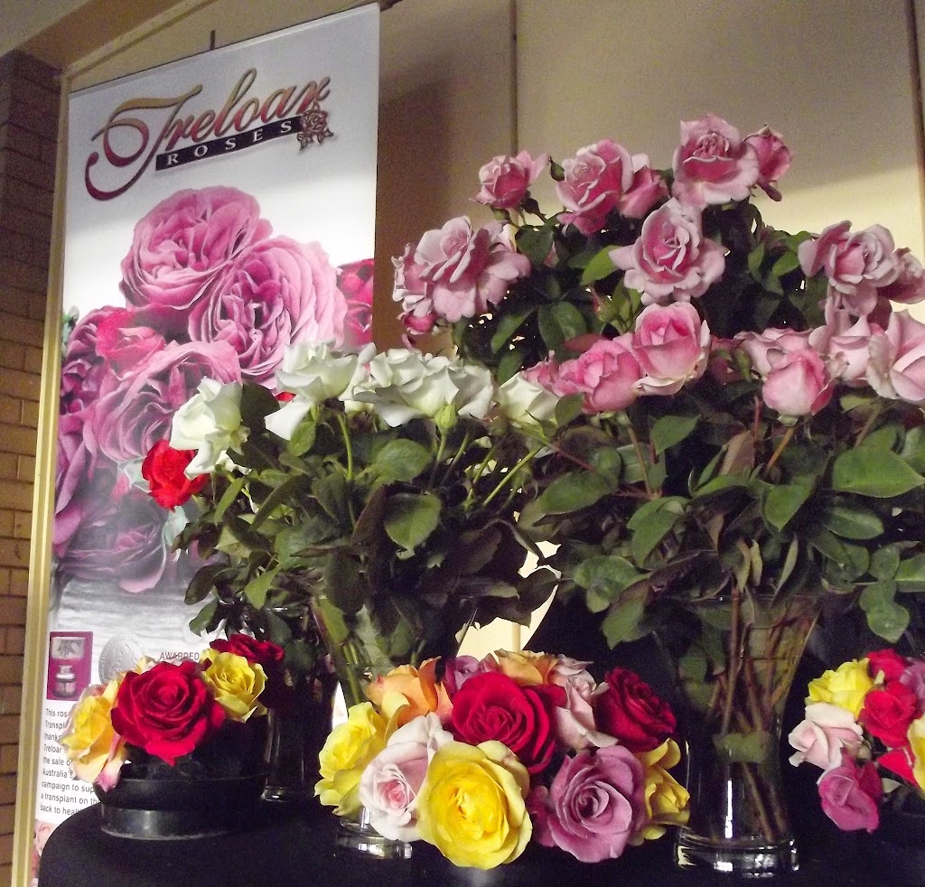 Treloar Roses | 216 Princes Hwy, Bolwarra VIC 3305, Australia | Phone: 1300 044 852