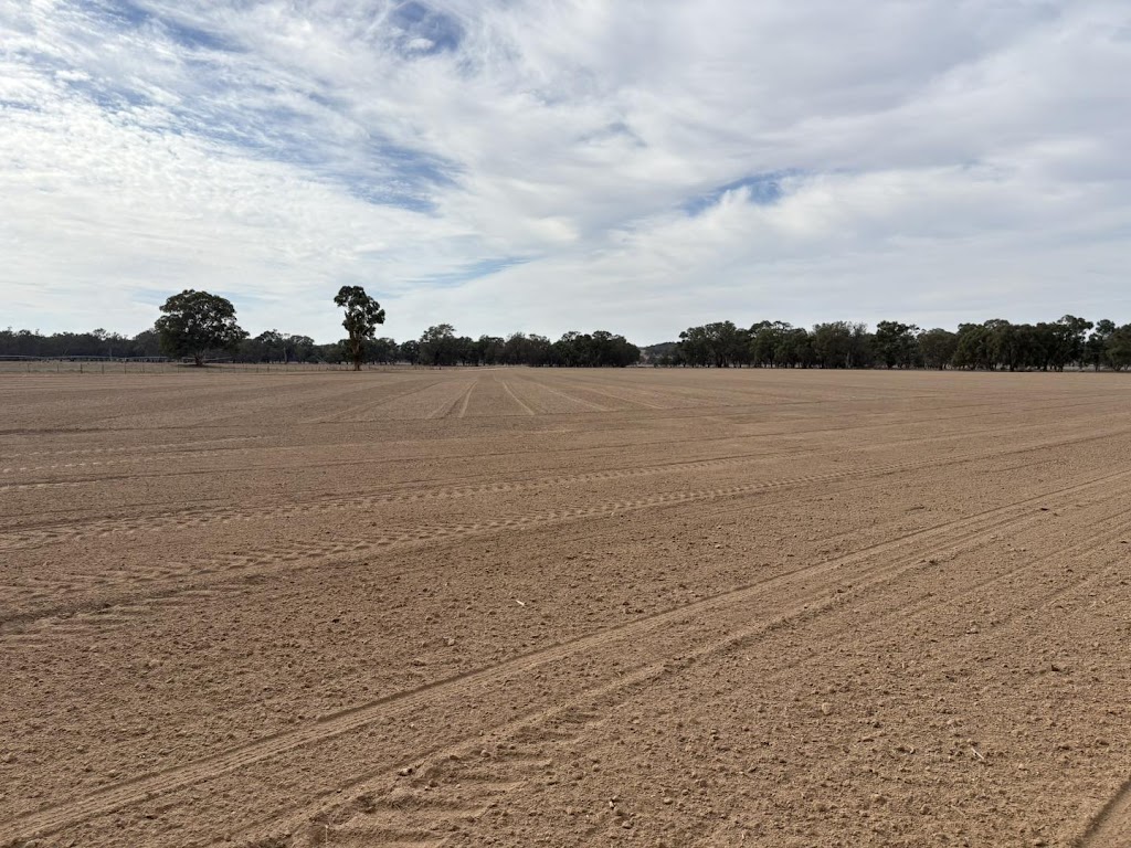 Burrum Bales | 39 Bethel Rd, Burrumbuttock NSW 2642, Australia | Phone: 0428 999 007