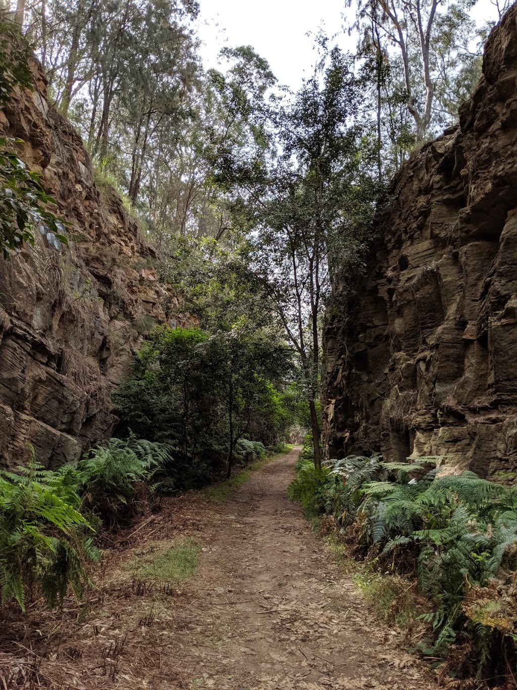 Knapsack Viaduct | tourist attraction | Great Western Hwy, Glenbrook NSW 2773, Australia | 0298738500 OR +61 2 9873 8500