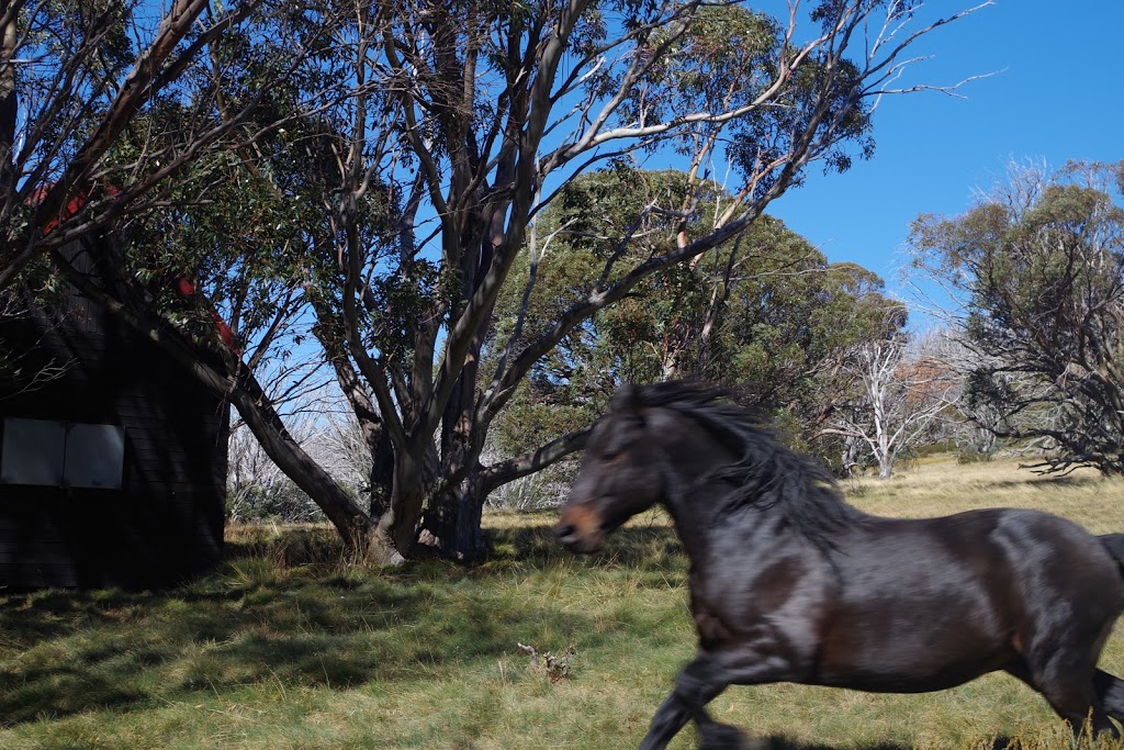 Johnston Hut | Nelse VIC 3699, Australia | Phone: 13 19 63