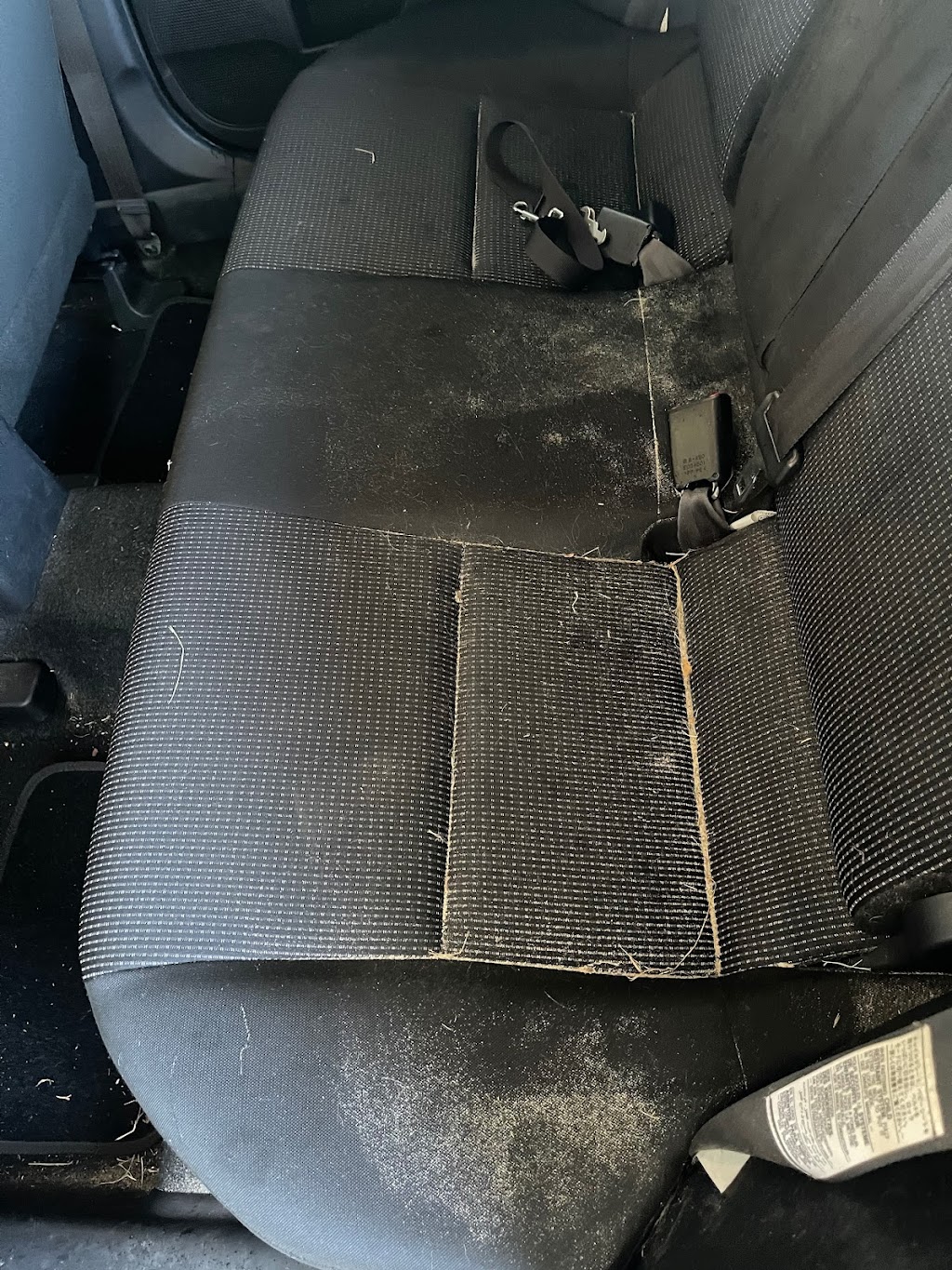 DIRT BUSTERS CAR DETAILING - CAR DETAILING SPRINGFIELD | 6 Henbury St, South Ripley QLD 4306, Australia | Phone: 0448 881 067