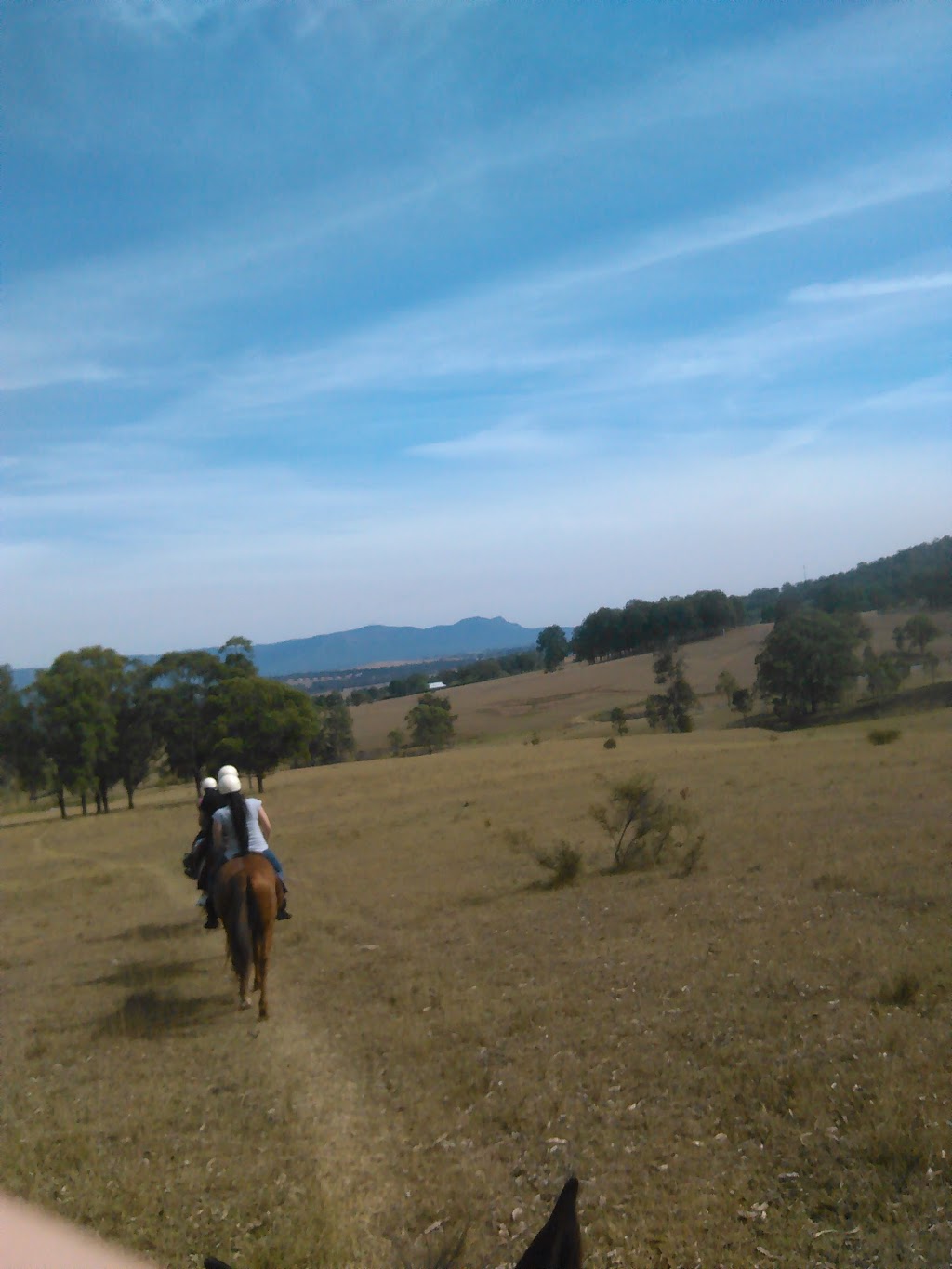 Hunter Valley Horse Riding & Adventures | travel agency | 288 Talga Rd, Lovedale NSW 2325, Australia | 0249307111 OR +61 2 4930 7111