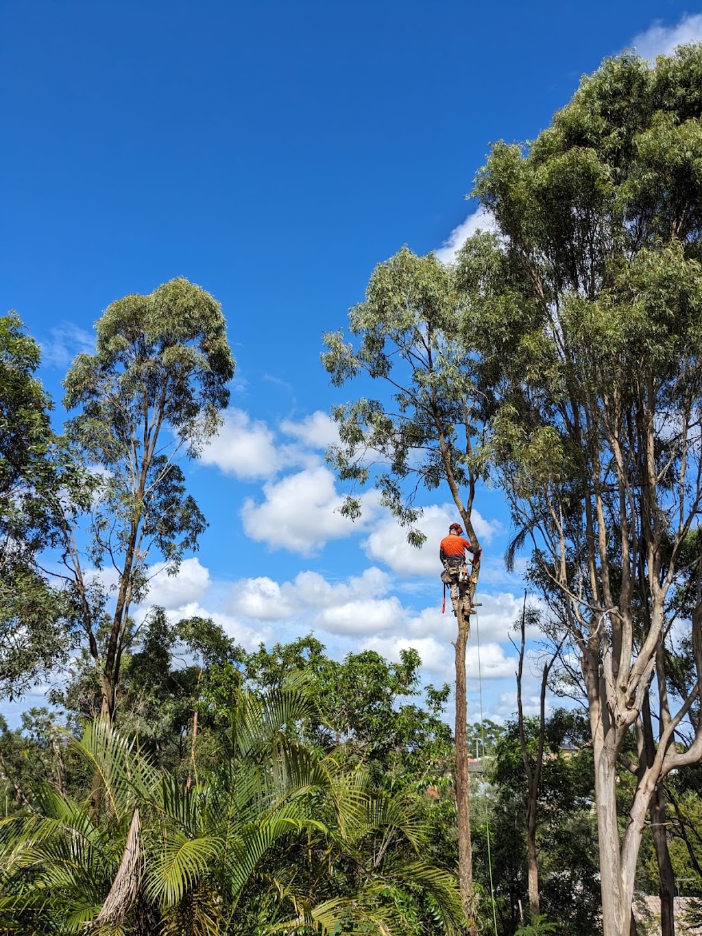 Tabernacle Timber | 4947 Chinchilla Tara Rd, Tara QLD 4421, Australia | Phone: 0423 025 861