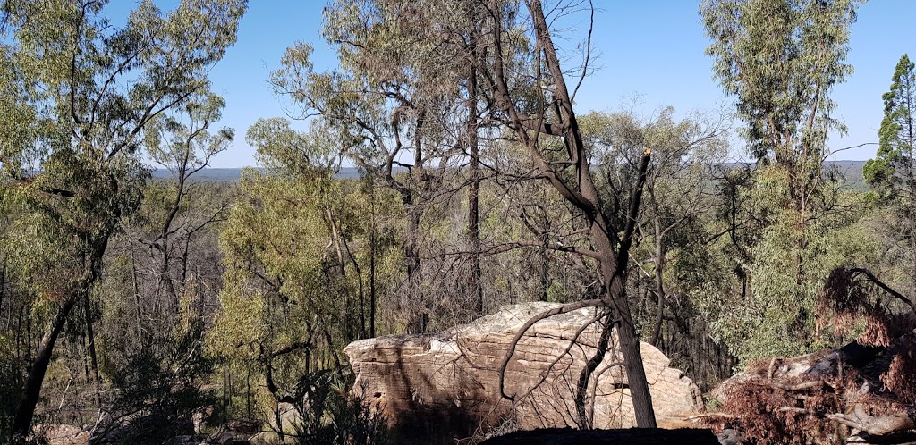 Pilliga Nature Reserve | park | Dandry NSW 2357, Australia | 0268434011 OR +61 2 6843 4011