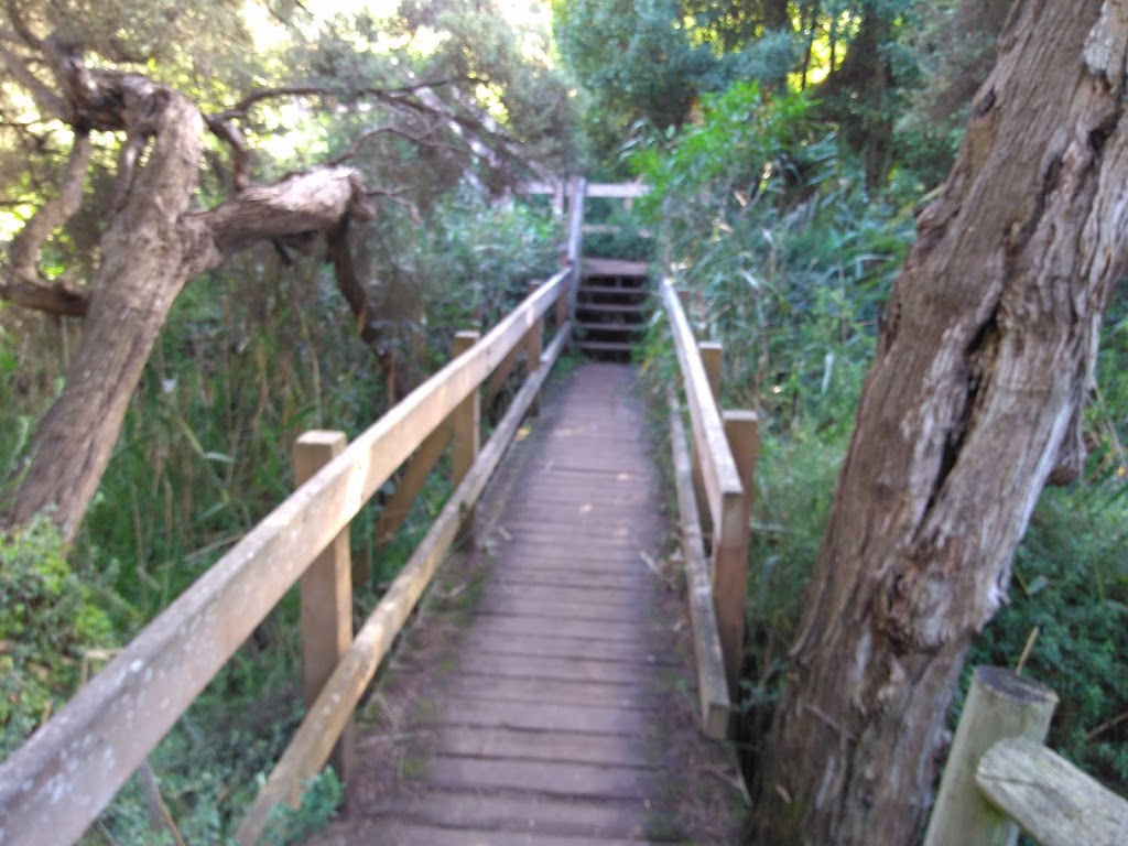 Burabong creek lookout | park | Two Bays Walking Track, Cape Schanck VIC 3939, Australia