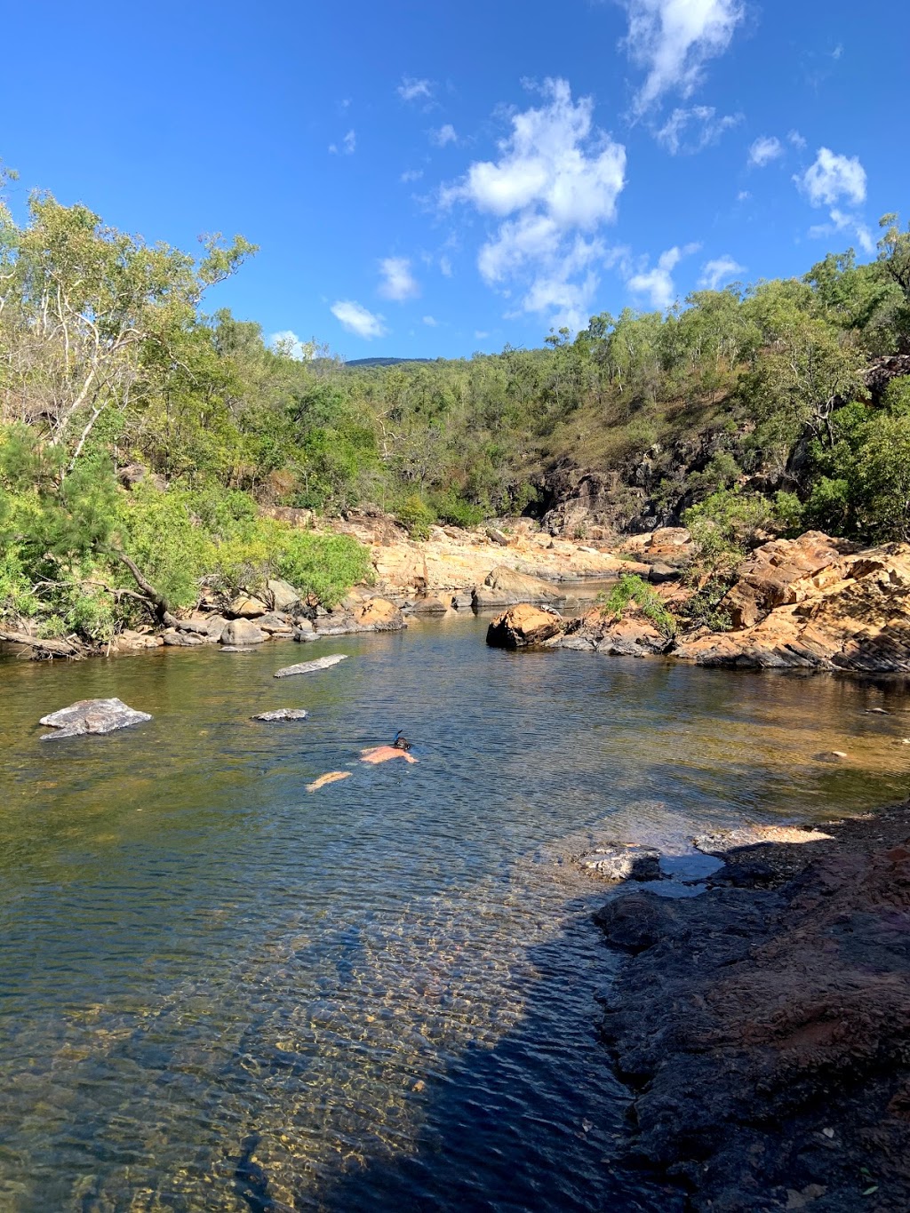 Alligator Creek Campground - Queensland national park | campground | Unnamed Road, Mount Elliot QLD 4816, Australia