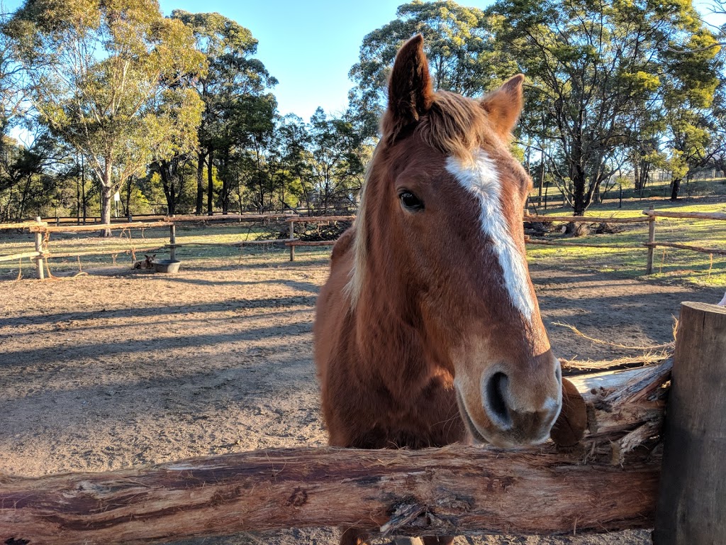 Highland Farm Stays | Tugalong Rd, Bangadilly NSW 2577, Australia | Phone: 0425 208 783