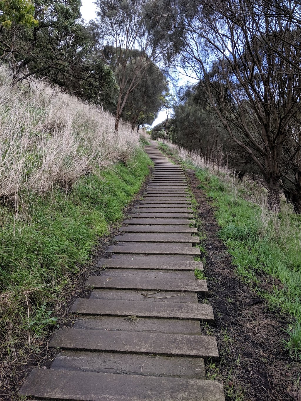 Mount Schank Car Park | Mount Schank SA 5291, Australia