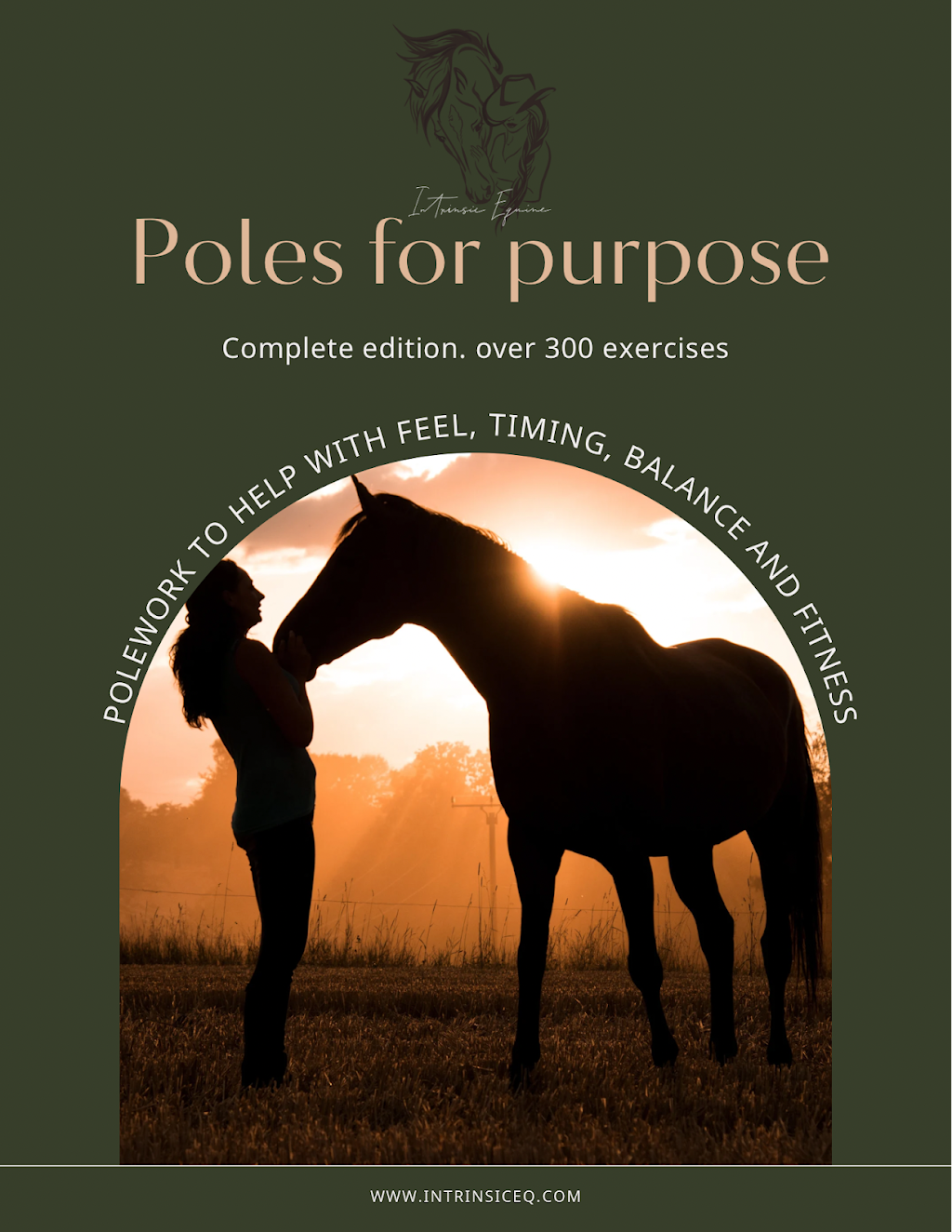 Intrinsic Equine | Everard Rd, Kyabram VIC 3620, Australia | Phone: 0447 431 584