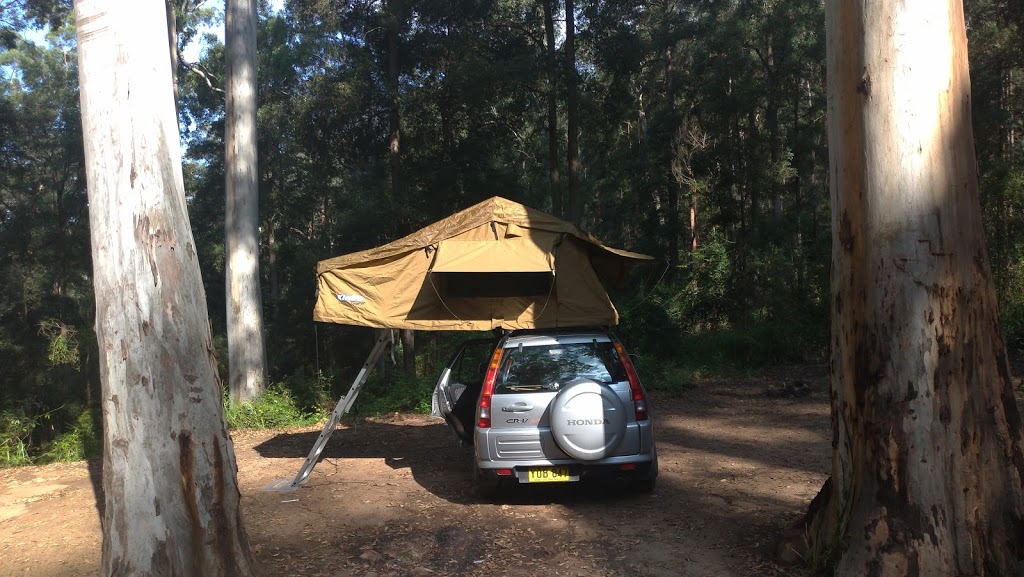 Murphys Glen campground | campground | Turpentine Walking Track, Blue Mountains National Park NSW 2787, Australia | 0247878877 OR +61 2 4787 8877
