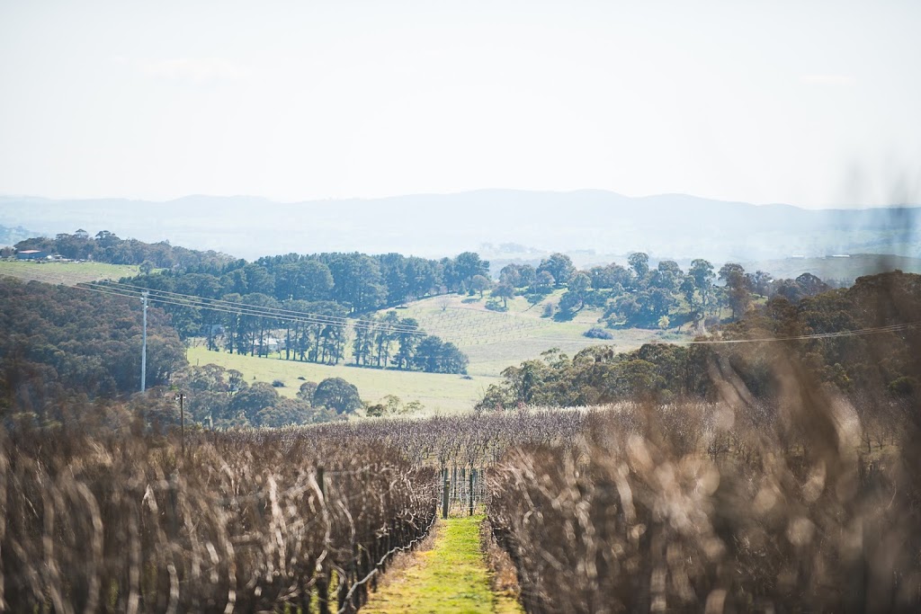 Forest Edge Vineyard |  | Forest Edge Vineyard, 279 Old Canobolas Rd, Nashdale NSW 2800, Australia | 0403210703 OR +61 403 210 703