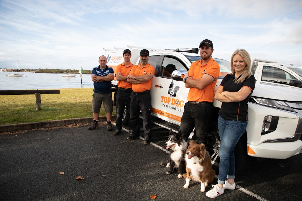 Top Dog Pest Control | home goods store | 8 Burrendong Rd, Coombabah QLD 4216, Australia | 1800737836 OR +61 1800 737 836