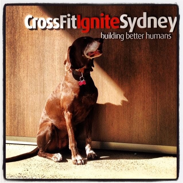 CrossFit Ignite Sydney | gym | 3/198-222 Young St, Waterloo NSW 2017, Australia | 0293107117 OR +61 2 9310 7117