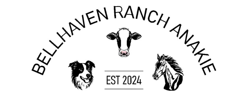 Bellhaven Ranch | 705 Carrs Rd, Anakie VIC 3213, Australia | Phone: 0403 899 643