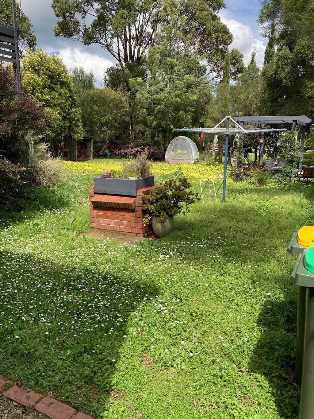 JOEYS MOWING. | 2/23 Anderson St, Newhaven VIC 3925, Australia | Phone: 0434 288 779