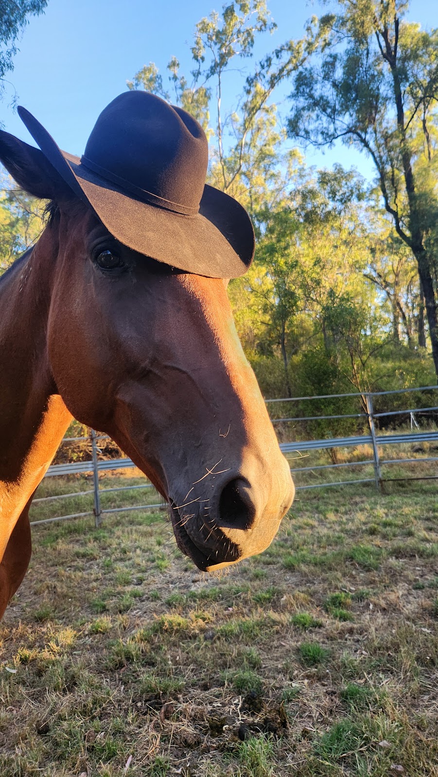 Echo Gully | 6 Heenan Rd, Mulgowie QLD 4341, Australia | Phone: 0421 060 622 Echo Gully | 6 Heenan Rd, Mulgowie QLD 4341, Australia | Phone: 0421 060 622