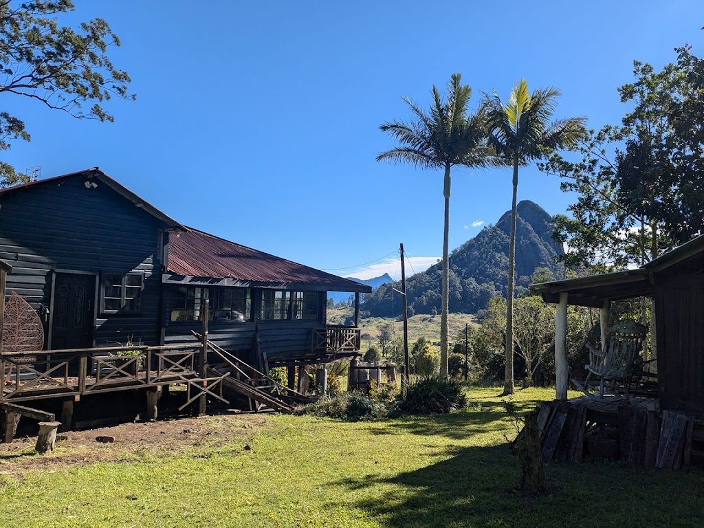 The Gardener & Co. | 189 Jefferson Ln, Palm Beach QLD 4221, Australia | Phone: 0460 941 392