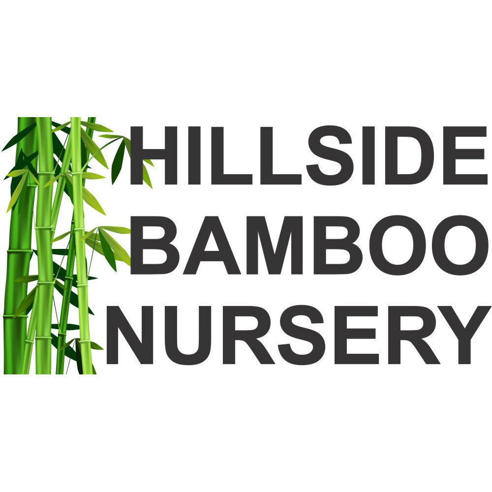 Hillside Bamboo Nursery | 1416 Porongurup Rd, Porongurup WA 6324, Australia | Phone: (08) 9853 1123
