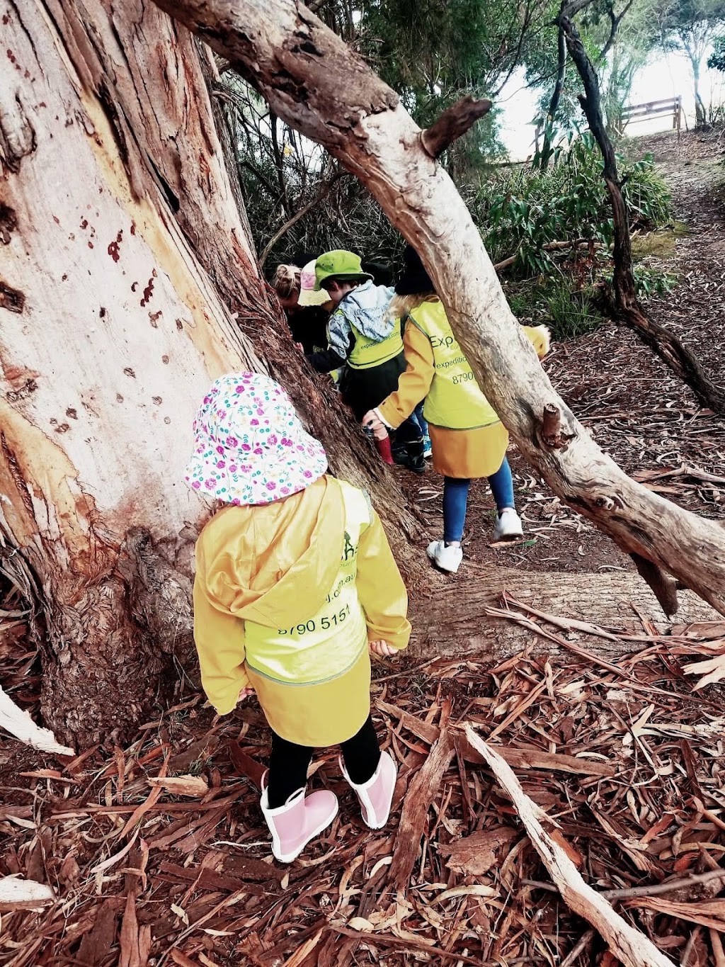 Expeditions Early Learning Journey - Narre Warren | 2 Foxborough Glade, Narre Warren North VIC 3804, Australia | Phone: (03) 8790 5151