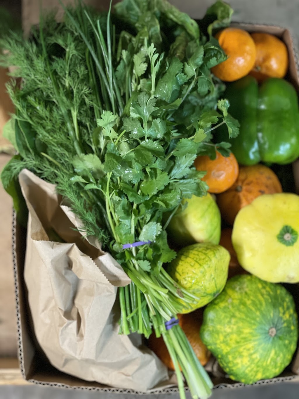 Organic Origins | 1 Anzac Rd, Warrandyte South VIC 3134, Australia | Phone: 0437 008 951