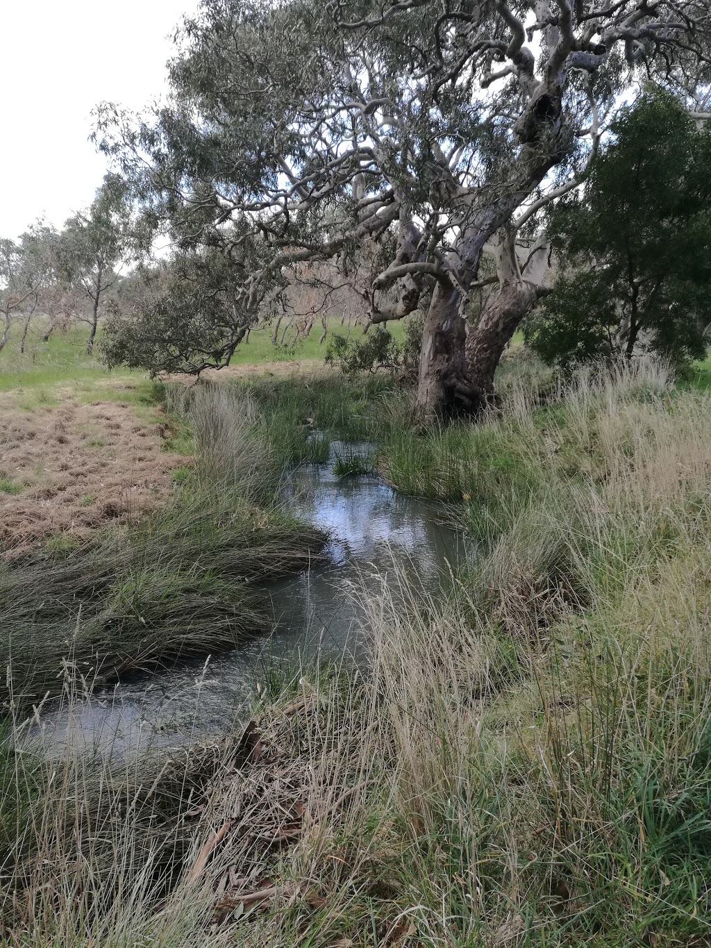 Malcolm Creek Linear Park | park | Craigieburn VIC 3064, Australia