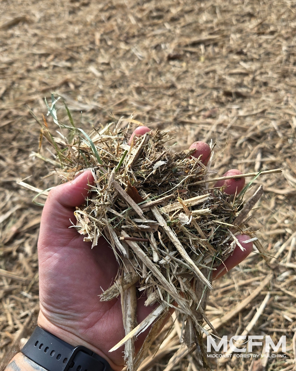 MidCoast Forestry Mulching | Old Bar Rd, Old Bar NSW 2430, Australia | Phone: 0418 164 089