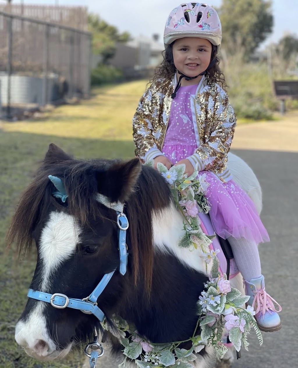 Blu Sky Pony Rides | 125 Beveridge Rd, Beveridge VIC 3753, Australia | Phone: 0413 079 219