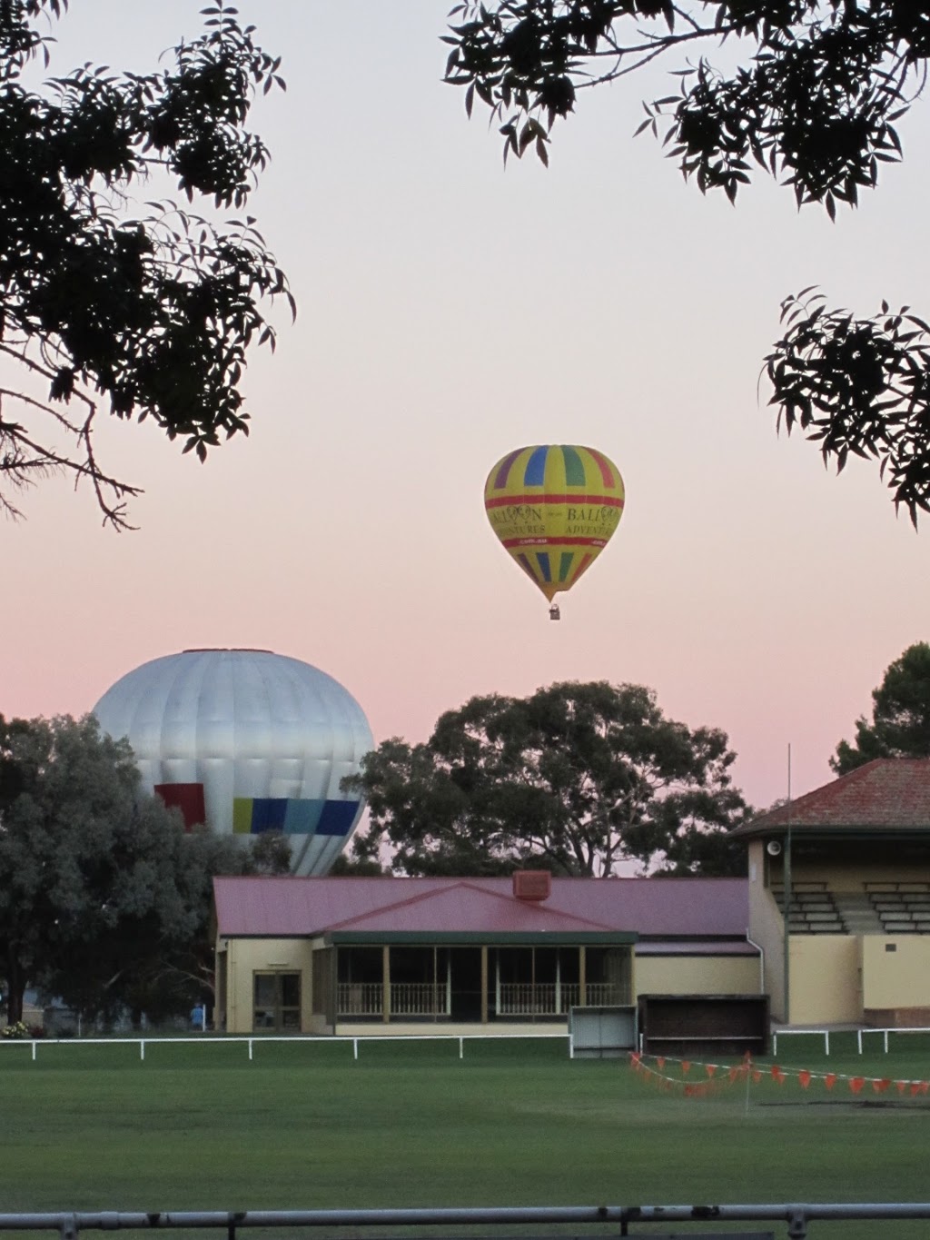 BIG4 Barossa Tourist Park | park | Penrice Rd, Nuriootpa SA 5355, Australia | 0885621404 OR +61 8 8562 1404