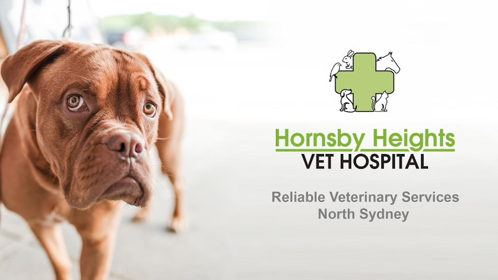 Hornsby Heights Vet Hospital | veterinary care | 21 Ethel St, Hornsby NSW 2077, Australia | 0294763307 OR +61 2 9476 3307